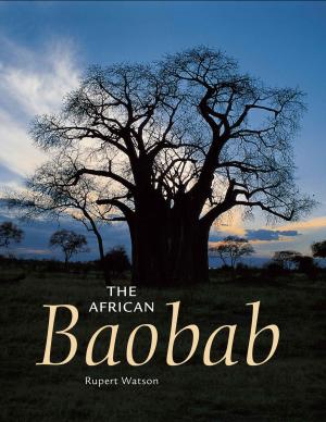 bigCover of the book The African Baobab by 