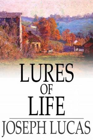 Cover of the book Lures of Life by Jackson Gregory