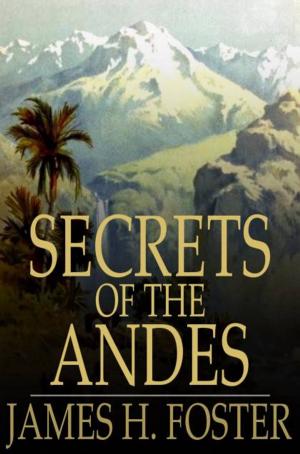 Book cover of Secrets of the Andes