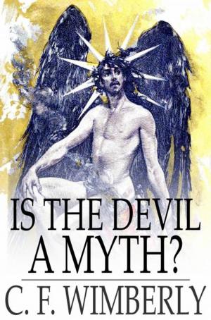 Cover of the book Is the Devil a Myth? by John T. McIntyre
