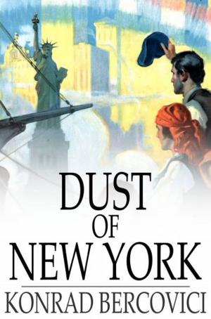 Cover of the book Dust of New York by Gustave Flaubert