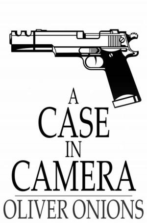 Cover of the book A Case in Camera by E. G. Swain