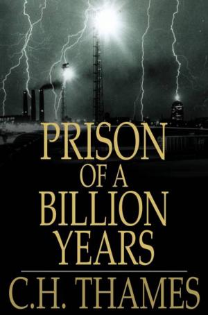 Cover of the book Prison of a Billion Years by Harry Castlemon