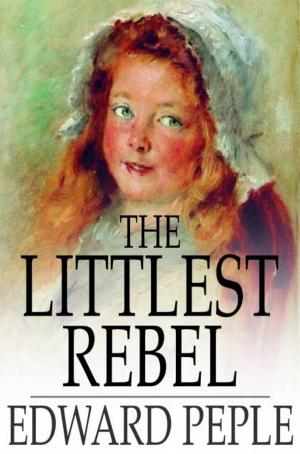 Book cover of The Littlest Rebel