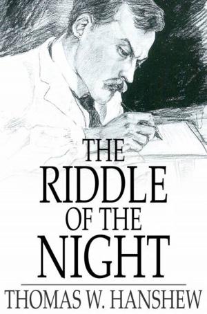 Cover of the book The Riddle of the Night by E. T. A. Hoffman