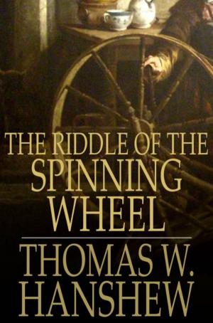 Book cover of The Riddle of the Spinning Wheel