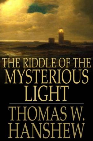 Book cover of The Riddle of the Mysterious Light