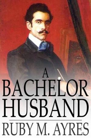 Cover of the book A Bachelor Husband by Emerson Hough
