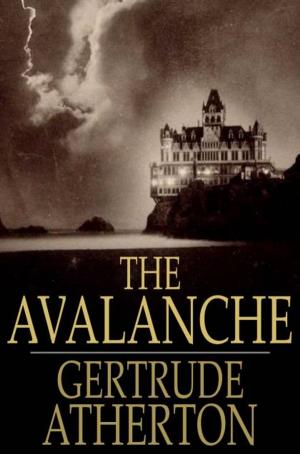 Book cover of The Avalanche