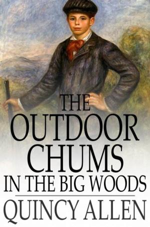 Cover of the book The Outdoor Chums in the Big Woods by Tobias Smollett