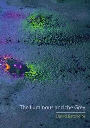 Book cover of The Luminous and the Grey