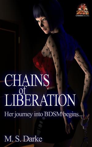 Cover of the book Chains of Liberation by Eddy Vale