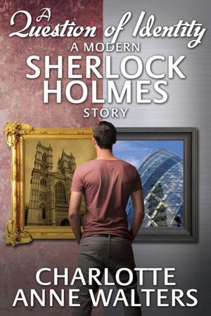 bigCover of the book A Question of Identity - A Modern Sherlock Holmes Story by 