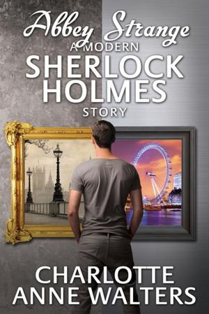 Cover of the book Abbey Strange - A Modern Sherlock Holmes Story by Paul Andrews