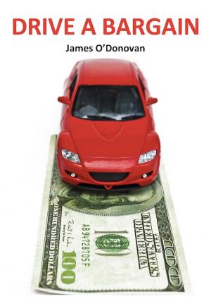 Cover of the book Drive a Bargain: Sell Your Car for More, Buy Your New Car for Less: A Practical Guide for Irish Motorists by Pearce Flannery