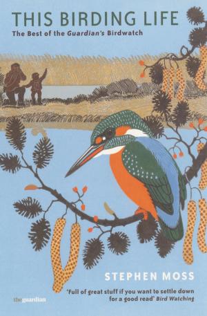 Cover of the book This Birding Life by Phoebe Clapham