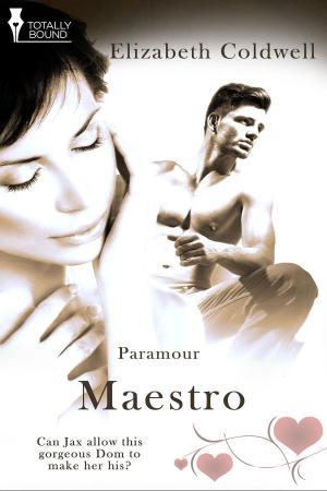 Cover of the book Maestro by Jenniffer Cardelle