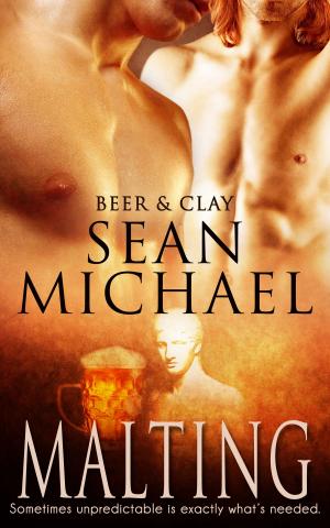 Book cover of Malting (A Gay Erotic Romance)