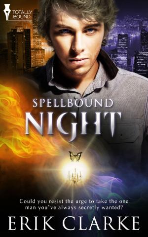 Cover of the book Night by Crissy Smith