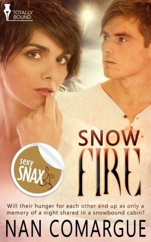 Cover of the book Snow Fire by Em Woods