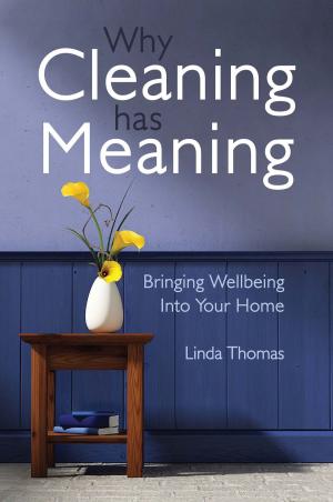Cover of the book Why Cleaning Has Meaning by Jane Cobbald