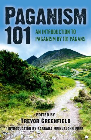 Cover of the book Paganism 101 by Frances Obrien