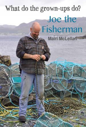 Cover of the book Joe the Fisherman by Geoff Wills