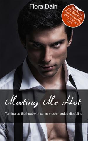 Cover of the book Meeting Mr Hot by Elizabeth Coldwell