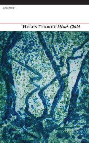 Cover of the book Missel-Child by Michelle de Villiers