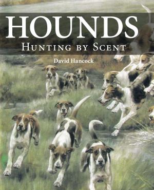 Cover of the book Hounds by Steve Trew, Dan Bullock