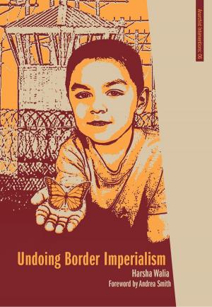 Book cover of Undoing Border Imperialism