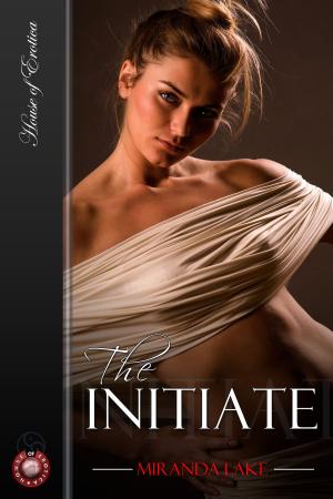 Cover of the book The Initiate by Chris Cowlin