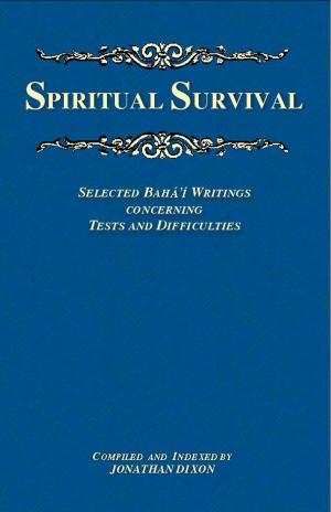 bigCover of the book Spiritual Survival by 