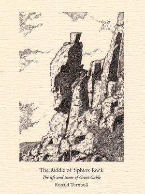 bigCover of the book The Riddle of Sphinx Rock by 