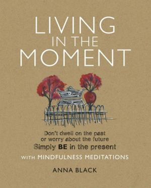 Book cover of Living in the Moment