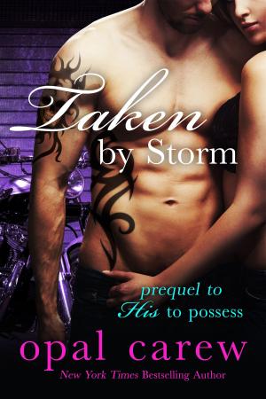 Cover of the book Taken By Storm by Amber Carew, Opal Carew
