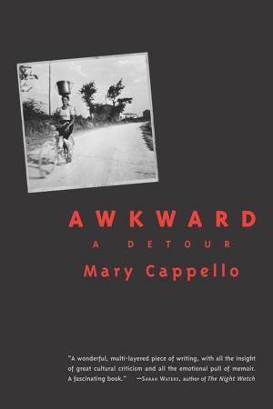 Cover of the book Awkward by Eduardo Halfon
