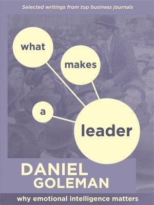 Cover of the book What Makes a Leader: Why Emotional Intelligence Matters by Daniel Goleman, Bill George, Claudio Fernández-Aráoz Warren Bennis