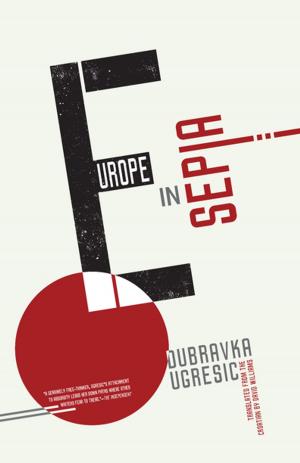 Book cover of Europe in Sepia