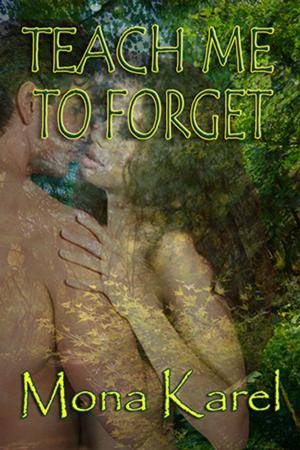 Cover of the book Teach Me to Forget by Becca Johnson