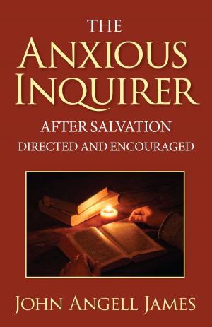 Cover of the book The Anxious Inquirer After Salvation Directed and Encouraged by Patricia St. John