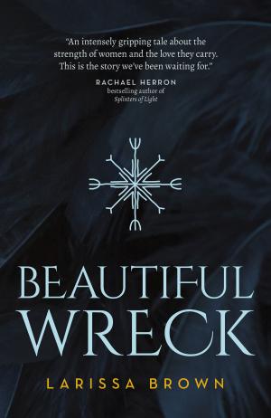 Cover of the book Beautiful Wreck by Daniel A. Roberts