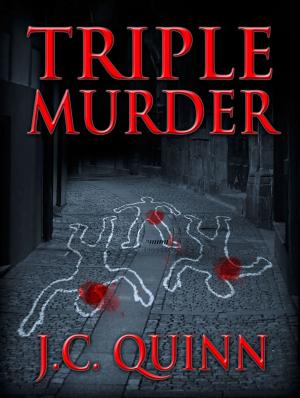 Cover of the book Triple Murder by Glenda Yarbrough