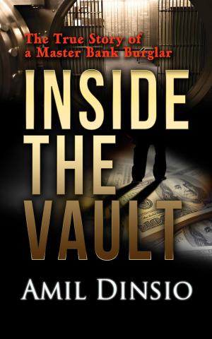 Cover of the book Inside the Vault by Carsten Steenbergen
