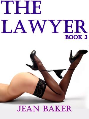 Book cover of The Lawyer: Book 3
