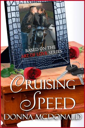 bigCover of the book Cruising Speed by 