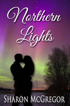 Cover of the book Northern Lights by Adalina Mae
