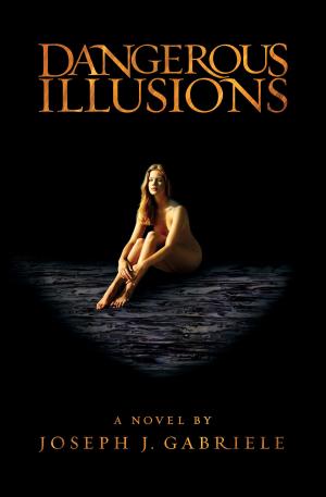 Book cover of Dangerous Illusions
