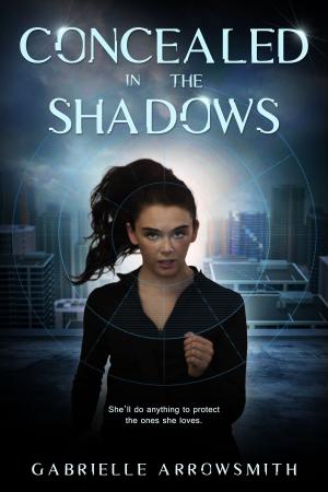 Book cover of Concealed in the Shadows