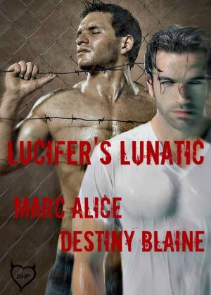 Cover of the book Lucifer's Lunatic by Patrick Mangan